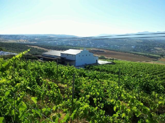 Apartament Bodegas Morosanto La Cimada Zewnętrze zdjęcie