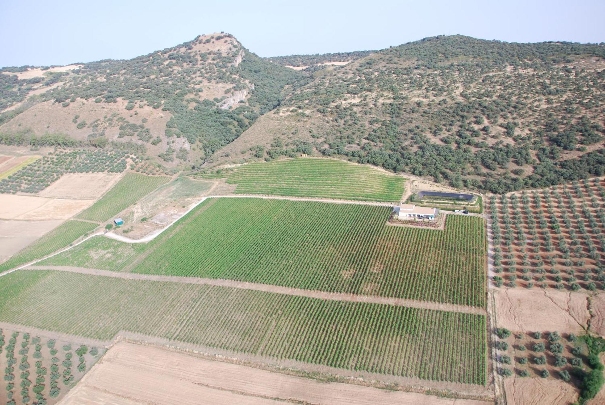 Apartament Bodegas Morosanto La Cimada Zewnętrze zdjęcie