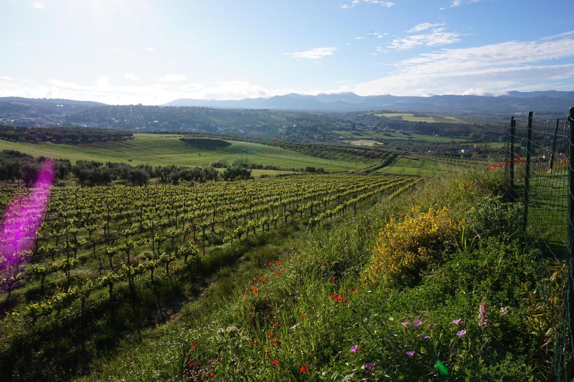 Apartament Bodegas Morosanto La Cimada Zewnętrze zdjęcie